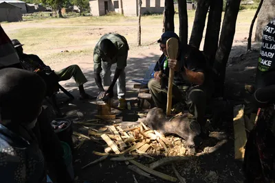 DSC_2946 (Large).JPG